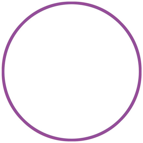 Amila Χούλα-Χουπ 80cm - Φ19 mm - 330gr, Μωβ